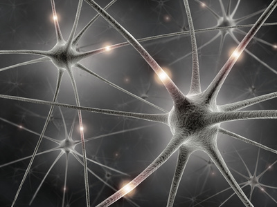 Spiegelneuronen Spiegelneuronen